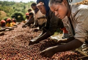 16426106436185649963 1200x630