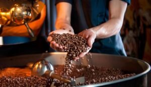 obzharka 21 1024x590